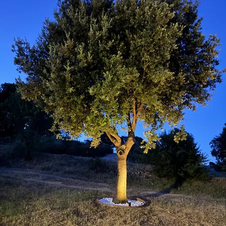 Domo S Eliga Alloggio in famiglia Padru